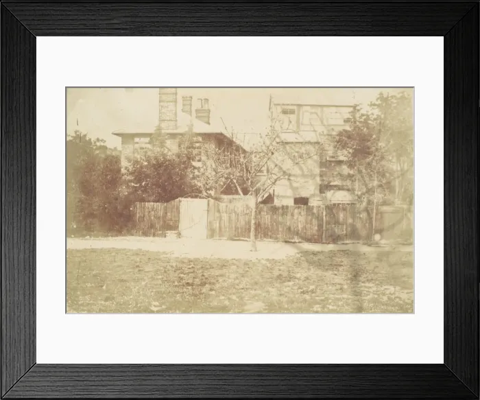 Framed Print : Tree in Yard, 1850s. Creator: Attributed to Samuel Buckle ( Framed Print : Tree in Yard, 1850s. Creator: Attributed to Samuel Buckle (