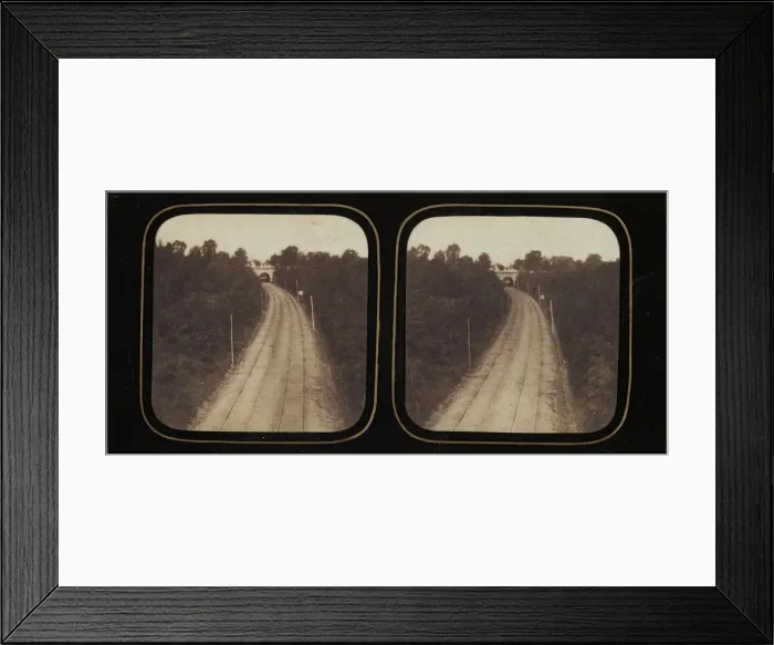 Framed Print : [Stereographic View of Paris-Lyon Railroad Tracks with Ghost Framed Print : [Stereographic View of Paris-Lyon Railroad Tracks with Ghost