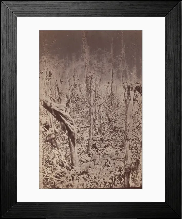 Framed Print : The Wilderness Battlefield, 1865-67. Creator: Unknown Framed Print : The Wilderness Battlefield, 1865-67. Creator: Unknown