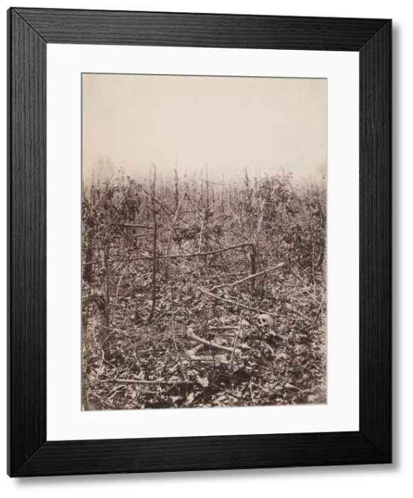 Framed Print : The Wilderness Battlefield, 1864. Creator: Unknown Framed Print : The Wilderness Battlefield, 1864. Creator: Unknown
