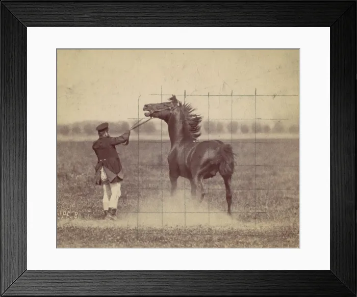 Framed Print : Horse, 1884. Creator: Ottomar Anschütz Framed Print : Horse, 1884. Creator: Ottomar Anschütz