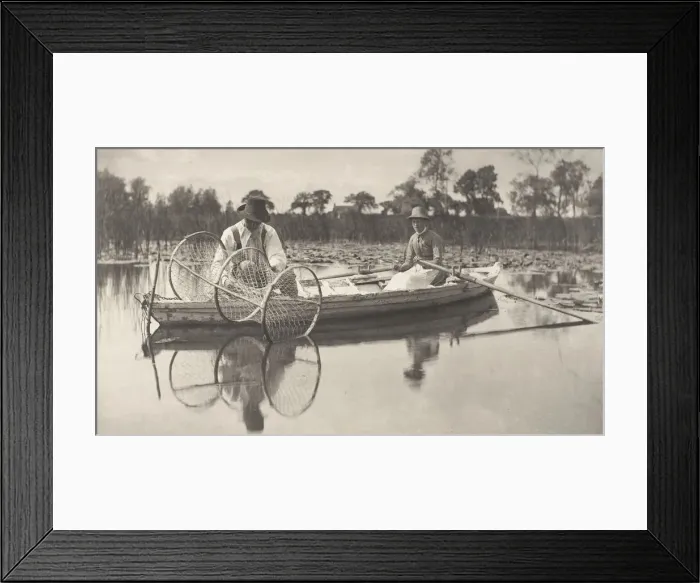 Framed Print : Setting the Bownet, 1886. Creator: Dr Peter Henry Emerson Framed Print : Setting the Bownet, 1886. Creator: Dr Peter Henry Emerson