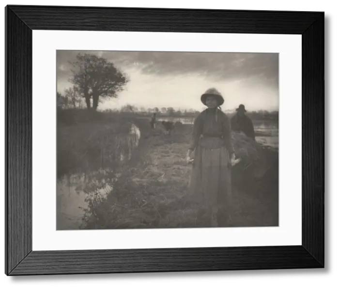 Framed Print : Poling the Marsh Hay, 1886. Creator: Dr Peter Henry Emerson Framed Print : Poling the Marsh Hay, 1886. Creator: Dr Peter Henry Emerson