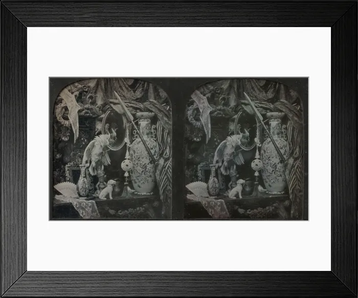 Framed Print : Still-Life with Cockatoo, Mirror, Ornamental Ball, Vases, and Lace, 1850s Framed Print : Still-Life with Cockatoo, Mirror, Ornamental Ball, Vases, and Lace, 1850s