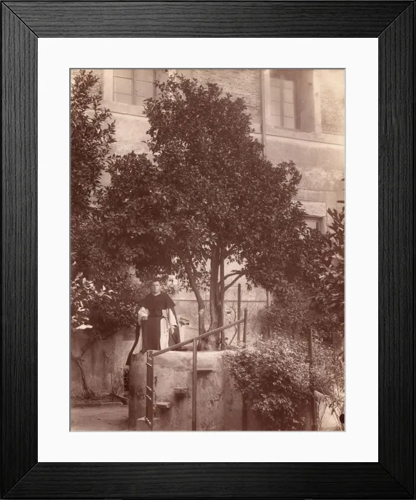 Framed Print : St. Dominics Orange Tree on the Aventine, 1880s. Creator: Unknown Framed Print : St. Dominics Orange Tree on the Aventine, 1880s. Creator: Unknown