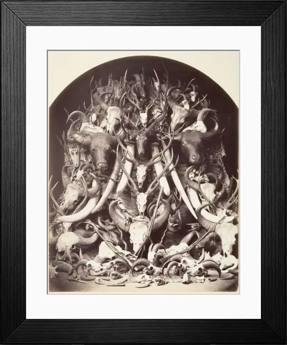 Framed Print : Hunting Trophies, ca. 1870. Creator: Unknown Framed Print : Hunting Trophies, ca. 1870. Creator: Unknown