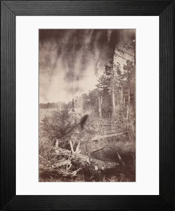 Framed Print : The Wilderness Battlefield, 1864. Creator: Unknown Framed Print : The Wilderness Battlefield, 1864. Creator: Unknown