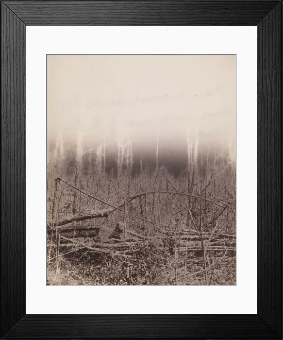 Framed Print : The Wilderness Battlefield, 1864. Creator: Unknown Framed Print : The Wilderness Battlefield, 1864. Creator: Unknown