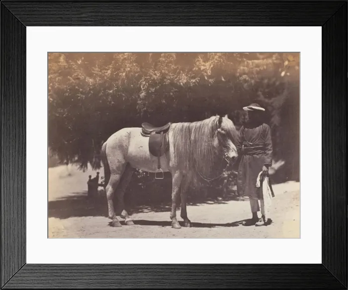 Framed Print : Lord Cannings Hill Pony, 1858-61. Creator: Unknown Framed Print : Lord Cannings Hill Pony, 1858-61. Creator: Unknown