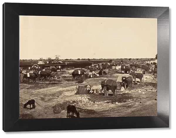 Hatti Kana-The Elephant Camp, 1858-61. Creator: Unknown