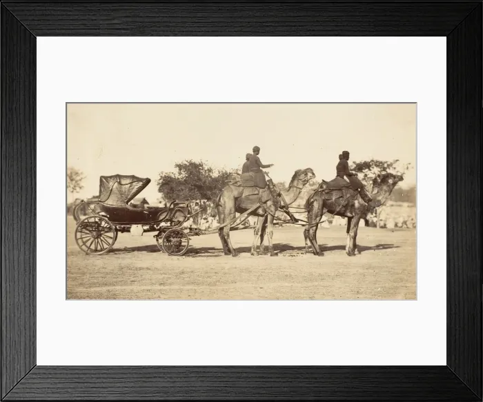 Framed Print : A Travelling Camel Carriage from Lahore to Peshawar, Governor Generals Camp, 1858-61 Framed Print : A Travelling Camel Carriage from Lahore to Peshawar, Governor Generals Camp, 1858-61