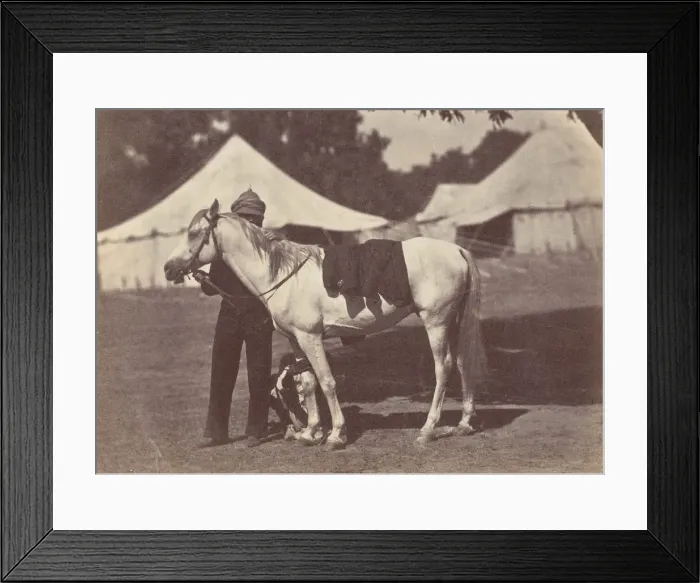Framed Print : My Arab Antelope, 1858-61. Creator: Unknown Framed Print : My Arab Antelope, 1858-61. Creator: Unknown