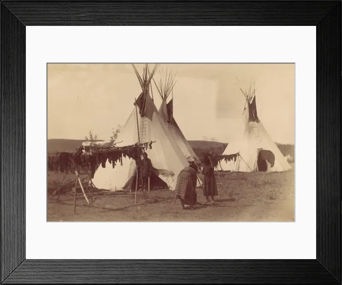 Framed Print : Native American Woman in Camp with Racks of Drying Meat, 1880s-90s. Creator: Unknown Framed Print : Native American Woman in Camp with Racks of Drying Meat, 1880s-90s. Creator: Unknown