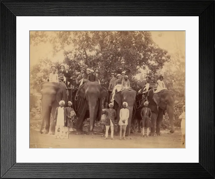 Framed Print : Four Elephants with Western Travellers and Attendants, Jaipur, India, 1860s-70s Framed Print : Four Elephants with Western Travellers and Attendants, Jaipur, India, 1860s-70s