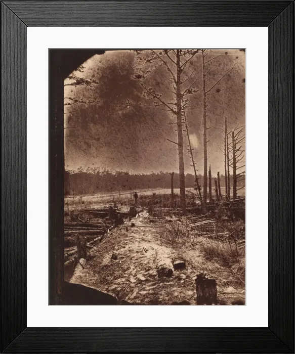 Framed Print : The Wilderness Battlefield, 1864. Creator: Unknown Framed Print : The Wilderness Battlefield, 1864. Creator: Unknown