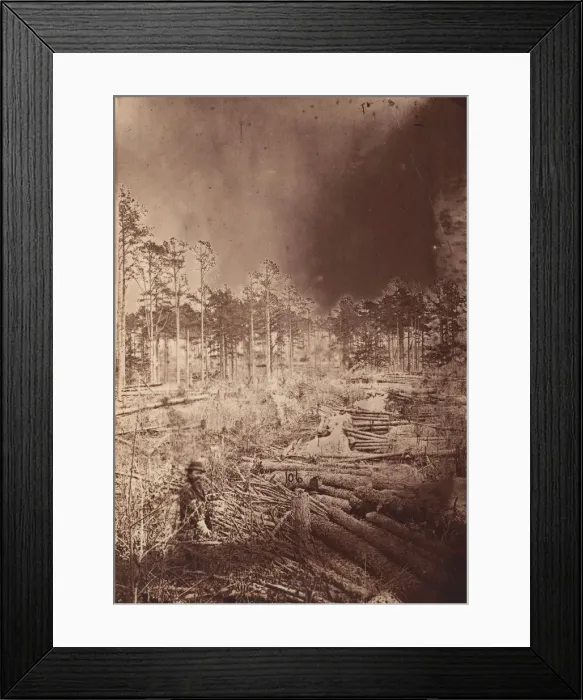 Framed Print : The Wilderness Battlefield, 1864. Creator: Unknown Framed Print : The Wilderness Battlefield, 1864. Creator: Unknown