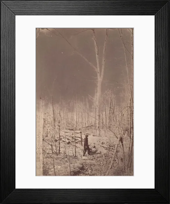 Framed Print : The Wilderness Battlefield, 1864. Creator: Unknown Framed Print : The Wilderness Battlefield, 1864. Creator: Unknown