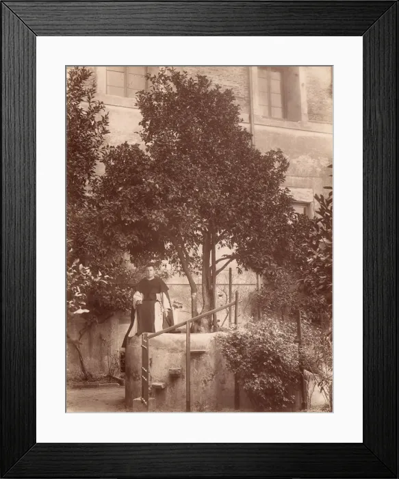 Framed Print : St. Dominics Orange Tree on the Aventine, 1880s. Creator: Unknown Framed Print : St. Dominics Orange Tree on the Aventine, 1880s. Creator: Unknown