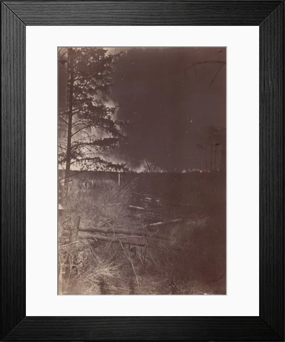 Framed Print : The Wilderness Battlefield, 1864. Creator: Unknown Framed Print : The Wilderness Battlefield, 1864. Creator: Unknown