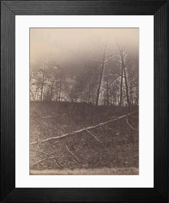 Framed Print : The Wilderness Battlefield, 1864. Creator: Unknown Framed Print : The Wilderness Battlefield, 1864. Creator: Unknown