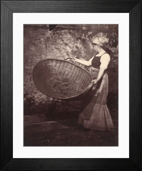Framed Print : [Peasant Woman with Winnowing Basket], late 1870s. Creator: Unknown