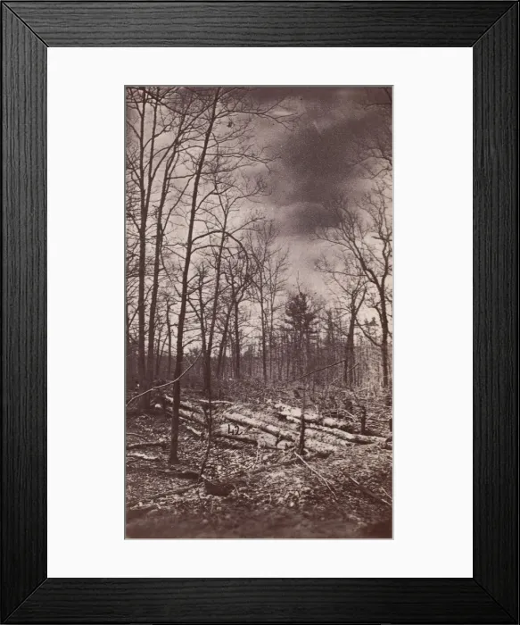 Framed Print : The Wilderness Battlefield, 1864. Creator: Unknown Framed Print : The Wilderness Battlefield, 1864. Creator: Unknown