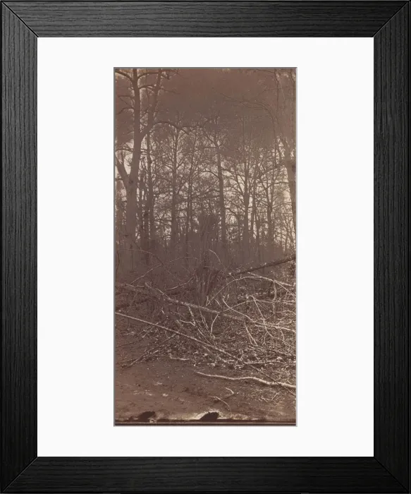 Framed Print : The Wilderness Battlefield, 1864. Creator: Unknown Framed Print : The Wilderness Battlefield, 1864. Creator: Unknown