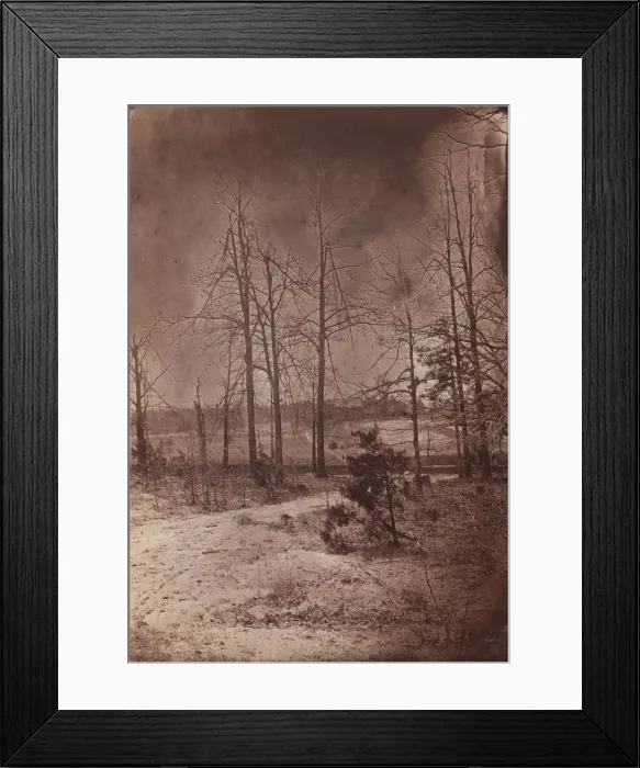 Framed Print : The Wilderness Battlefield, 1864. Creator: Unknown Framed Print : The Wilderness Battlefield, 1864. Creator: Unknown