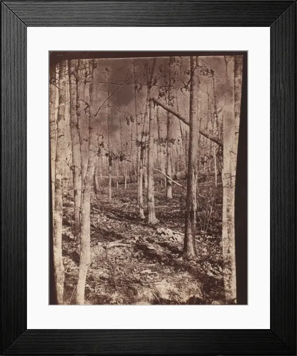 Framed Print : The Wilderness Battlefield, 1864. Creator: Unknown Framed Print : The Wilderness Battlefield, 1864. Creator: Unknown