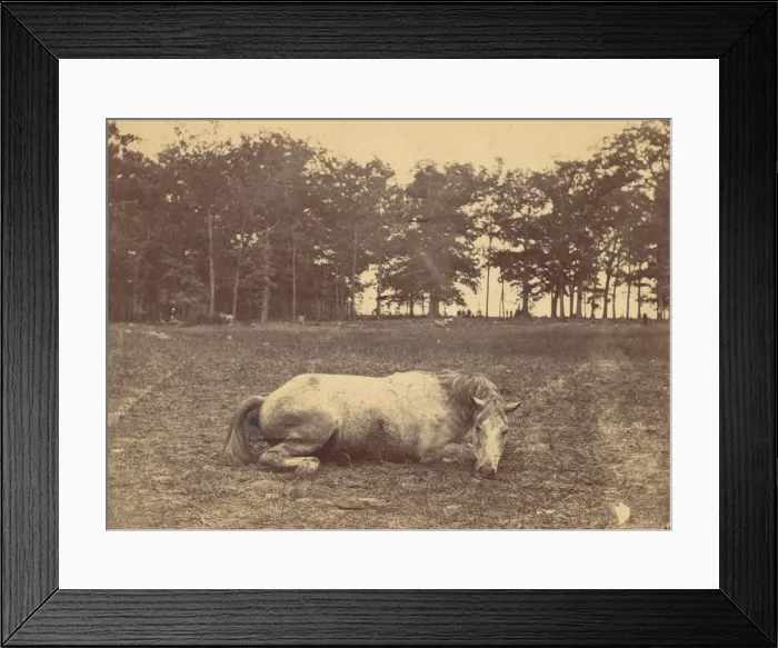 Framed Print : Is This Death - Antietam Battlefield, September 1862, 1862. Creator: Alexander Gardner Framed Print : Is This Death - Antietam Battlefield, September 1862, 1862. Creator: Alexander Gardner