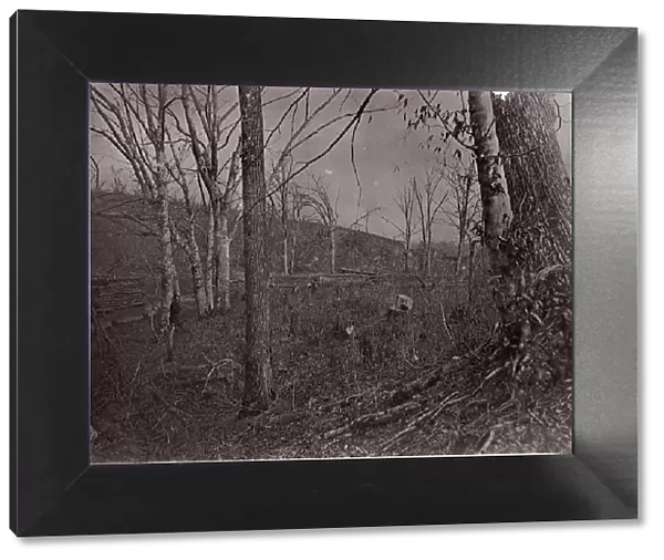 Bull Run, Virginia, 1861-62. Creator: George N. Barnard