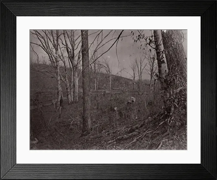 Framed Print : Bull Run, Virginia, 1861-62. Creator: George N. Barnard Framed Print : Bull Run, Virginia, 1861-62. Creator: George N. Barnard