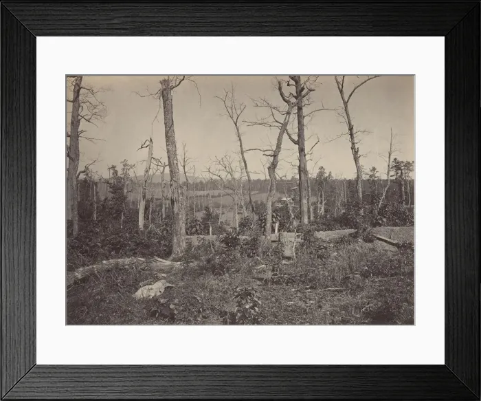 Framed Print : Battle Ground of Resacca, Georgia No. 3, 1860s. Creator: George N. Barnard Framed Print : Battle Ground of Resacca, Georgia No. 3, 1860s. Creator: George N. Barnard