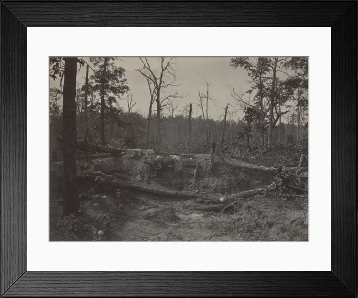 Framed Print : Battle Field of New Hope Church, Georgia No. 2, 1860s. Creator: George N. Barnard