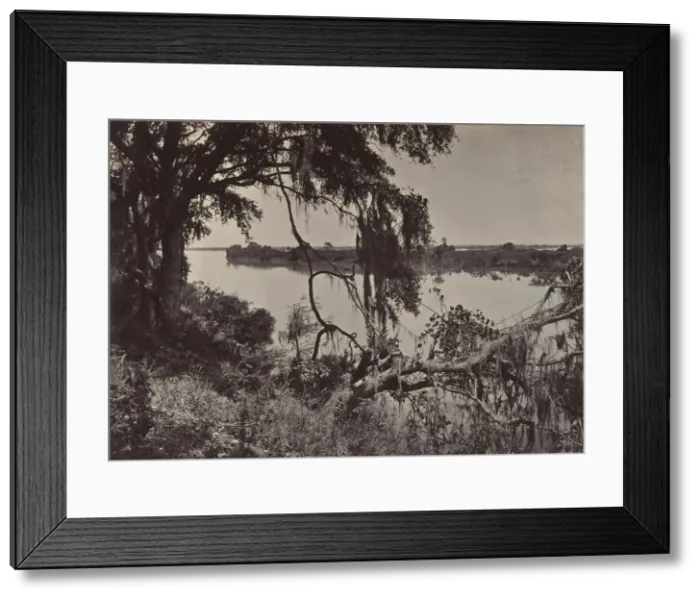 Framed Print : Savanah River, Near Savanah, Georgia, 1860s. Creator: George N. Barnard Framed Print : Savanah River, Near Savanah, Georgia, 1860s. Creator: George N. Barnard