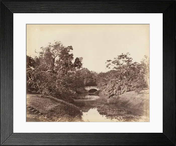 Framed Print : [Botanical Gardens, Calcutta], 1850s. Creator: Captain R. B. Hill