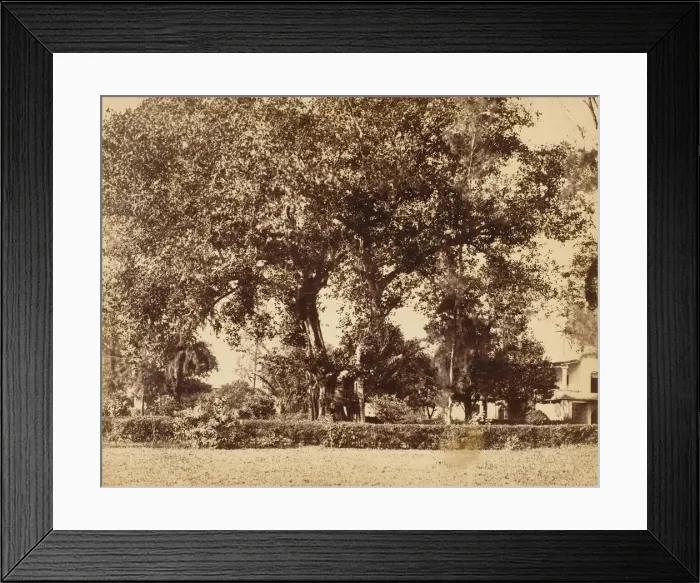 Framed Print : View From Our Garden, Dum Dum, 1850s. Creator: Captain R. B. Hill Framed Print : View From Our Garden, Dum Dum, 1850s. Creator: Captain R. B. Hill