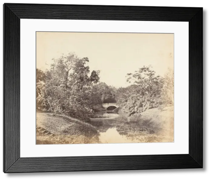 Framed Print : Botanical Gardens, Calcutta, 1850s. Creator: Captain R. B. Hill Framed Print : Botanical Gardens, Calcutta, 1850s. Creator: Captain R. B. Hill