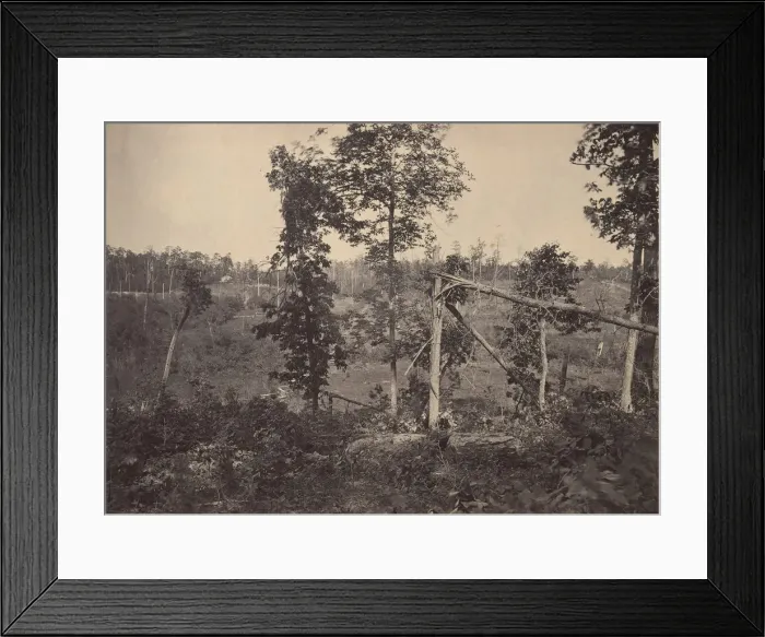 Framed Print : Battle Ground of Resacca, Georgia No. 2, 1860s. Creator: George N. Barnard Framed Print : Battle Ground of Resacca, Georgia No. 2, 1860s. Creator: George N. Barnard