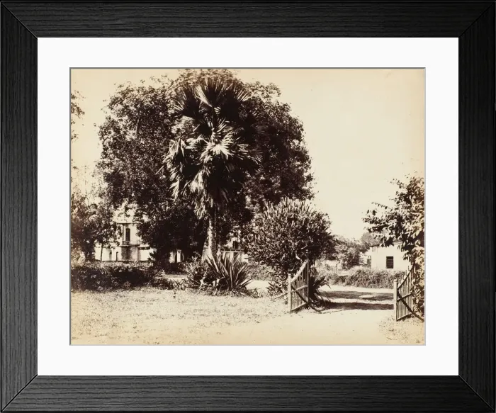 Framed Print : Gate Leading into Our House, 1850s. Creator: Captain R. B. Hill Framed Print : Gate Leading into Our House, 1850s. Creator: Captain R. B. Hill