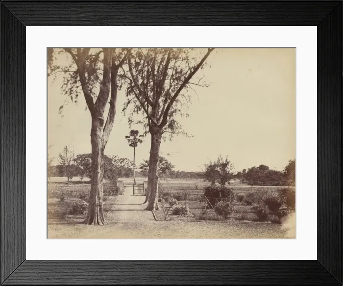 Framed Print : Garden in Indigo Districts, 1850s. Creator: Captain R. B. Hill Framed Print : Garden in Indigo Districts, 1850s. Creator: Captain R. B. Hill