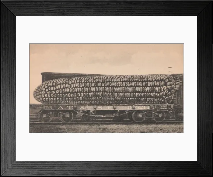 Framed Print : A Car Load of Texas Corn, ca. 1910. Creator: George B. Cornish Framed Print : A Car Load of Texas Corn, ca. 1910. Creator: George B. Cornish