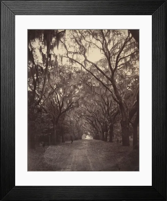 Framed Print : Bonaventure Cemetery, Four Miles from Savannah, 1866. Creator: George N. Barnard Framed Print : Bonaventure Cemetery, Four Miles from Savannah, 1866. Creator: George N. Barnard
