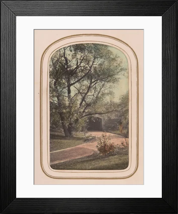 Framed Print : Carte-de-visite Album of Central Park Views, 1860s. Creator: Ambrose Jackson Framed Print : Carte-de-visite Album of Central Park Views, 1860s. Creator: Ambrose Jackson