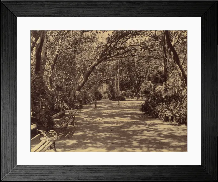 Framed Print : Sookh-Vilas Palace Garden, 1880-90. Creator: Lala Deen Dayal Framed Print : Sookh-Vilas Palace Garden, 1880-90. Creator: Lala Deen Dayal