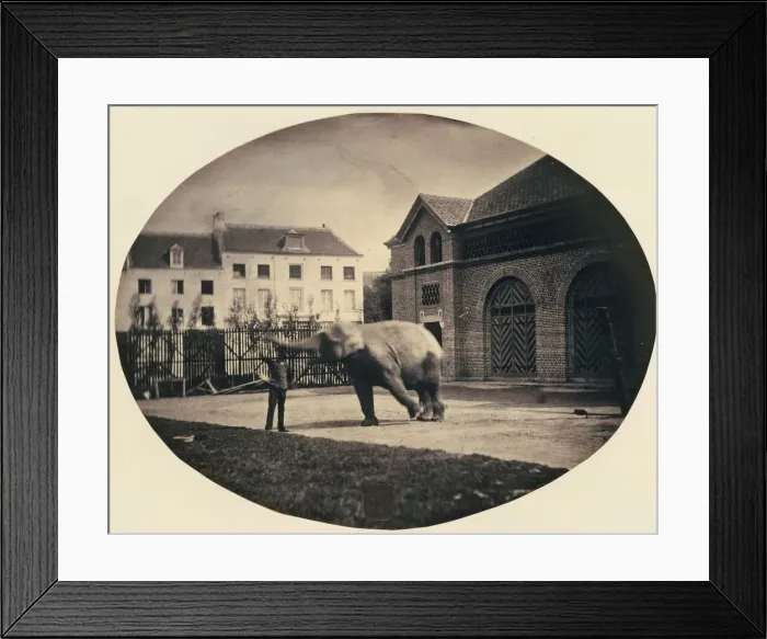 Framed Print : Another Impossible Task, 1854. Creator: Louis-Pierre-Theophile Dubois de Nehaut Framed Print : Another Impossible Task, 1854. Creator: Louis-Pierre-Theophile Dubois de Nehaut