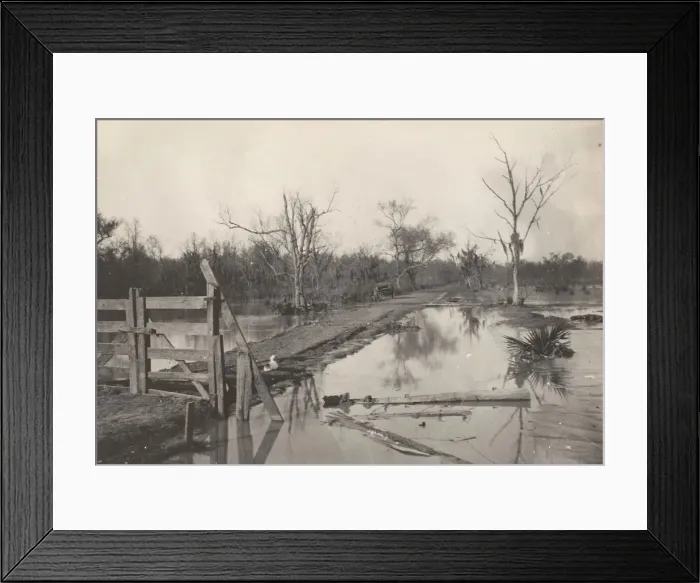 Framed Print : Road Through Flooded Land, 1890s-1900s. Creator: Morgan Whitney Framed Print : Road Through Flooded Land, 1890s-1900s. Creator: Morgan Whitney