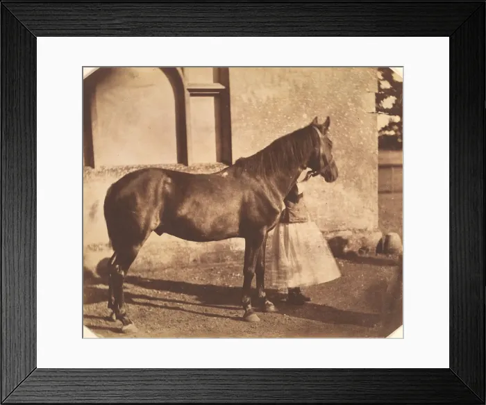Framed Print : Sultan, mid-1850s. Creator: Mervyn Herbert Nevil Story-Maskelyne Framed Print : Sultan, mid-1850s. Creator: Mervyn Herbert Nevil Story-Maskelyne