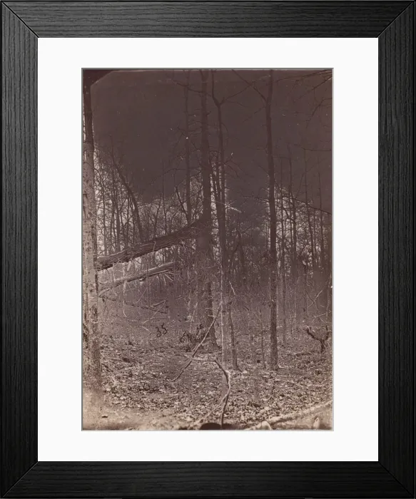 Framed Print : The Wilderness Battlefield, 1864. Creator: Unknown Framed Print : The Wilderness Battlefield, 1864. Creator: Unknown