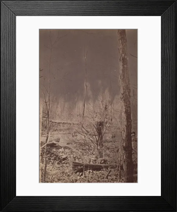 Framed Print : The Wilderness Battlefield, 1864. Creator: Unknown Framed Print : The Wilderness Battlefield, 1864. Creator: Unknown